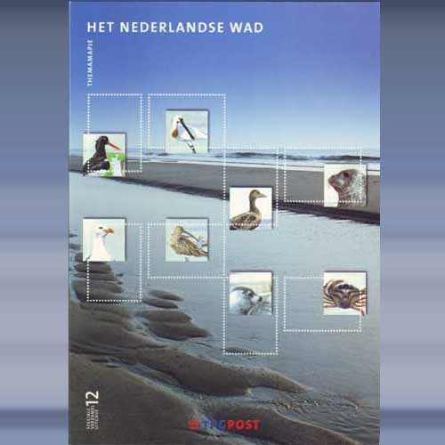Het Nederlandse Wad